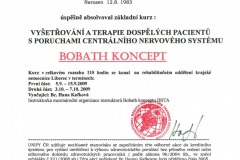 Bobath-Concept