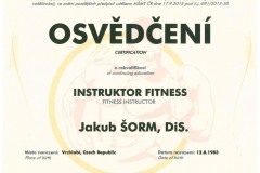 Instruktor-fitness