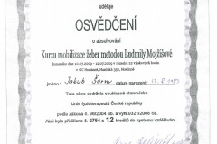 Mobilizace-žeber